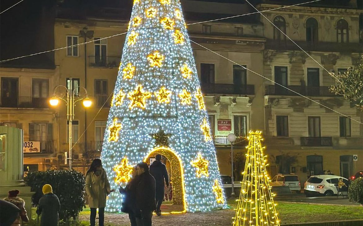 ALBERI 3D